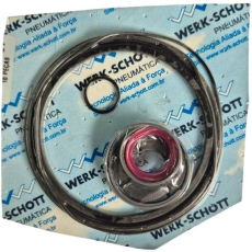 Kit de reparo K-100-61 para cilindro pneumático Série CWP - WERK SCHOTT