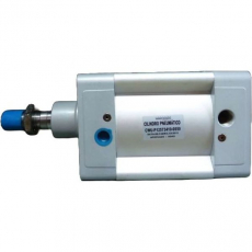 Cilindro pneumático CWUP125734100050 125X50 - WERK SCHOTT