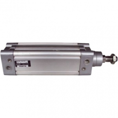 Cilindro pneumático DNC-50-100-PPV 50X100 - FESTO