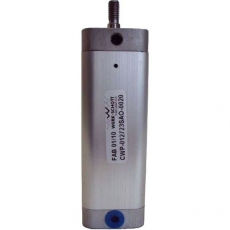 Cilindro pneumático CWP012723SAO0020 12X20 - WERK SCHOTT